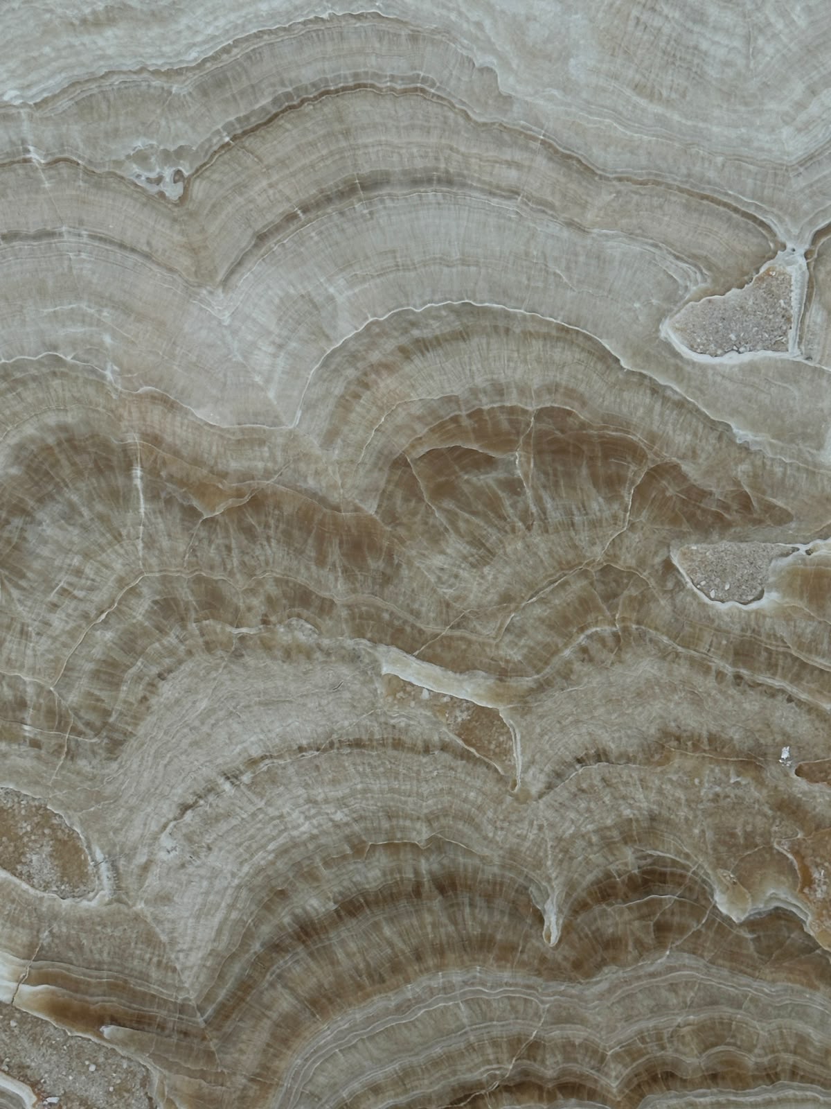 IVORY ONYX